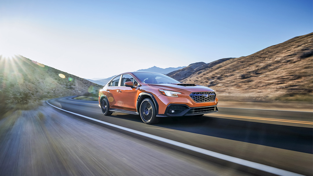 sub 20220214 1080x608 w r x1